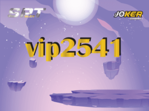 vip2541